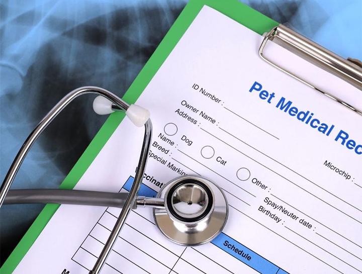 Pet Portal Pine Forest Animal Clinic